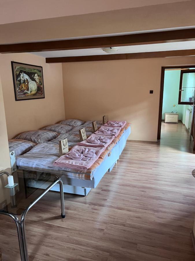 Dafinka Apartman Besztercebánya Kültér fotó